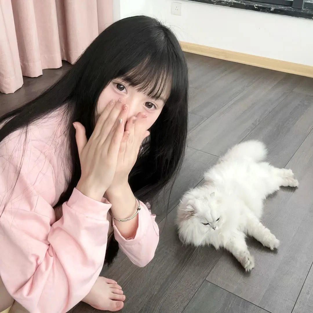 魔弹之王与战姬